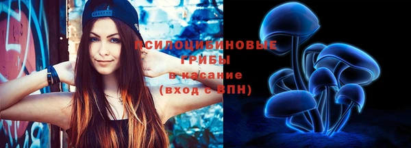 СК Слюдянка