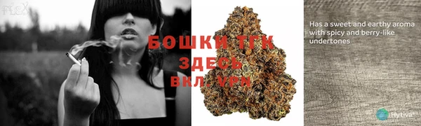 дурь Снежногорск