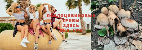 твердый Балахна