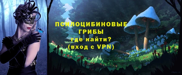 твердый Балахна